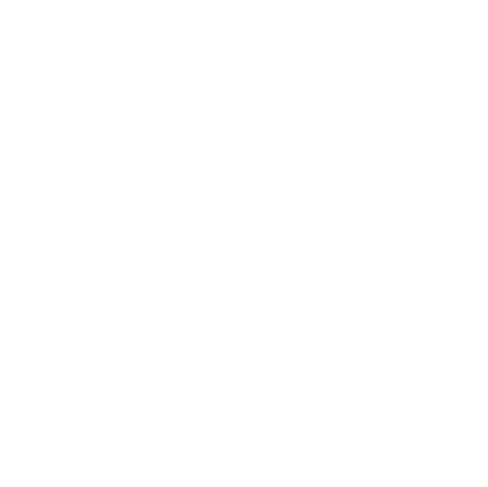 Trusted BII Partners logo